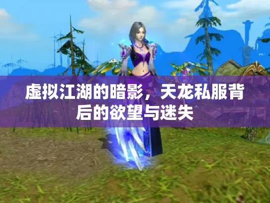 虚拟江湖的暗影，天龙私服背后的欲望与迷失