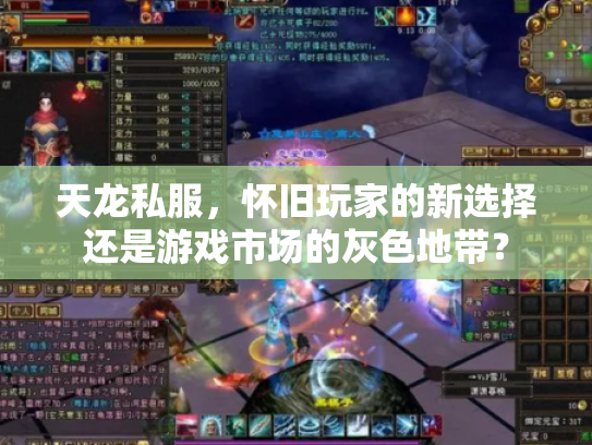 天龙私服，怀旧玩家的新选择还是游戏市场的灰色地带？