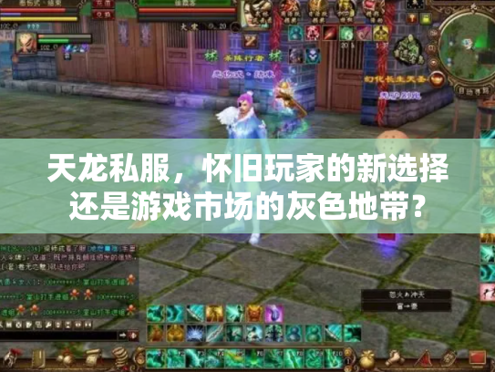 天龙私服，怀旧玩家的新选择还是游戏市场的灰色地带？
