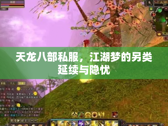 天龙八部私服，江湖梦的另类延续与隐忧