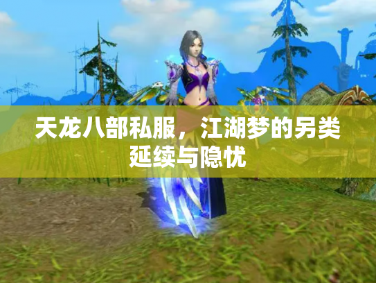 天龙八部私服，江湖梦的另类延续与隐忧