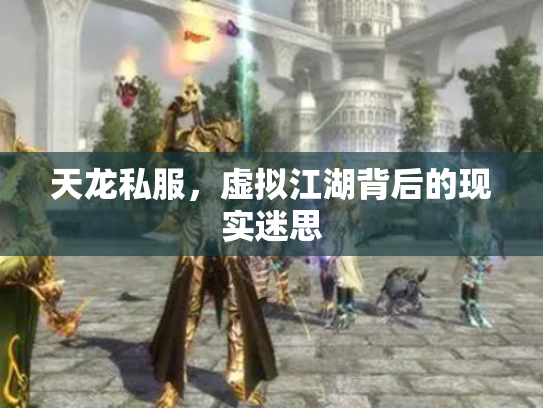 天龙私服，虚拟江湖背后的现实迷思