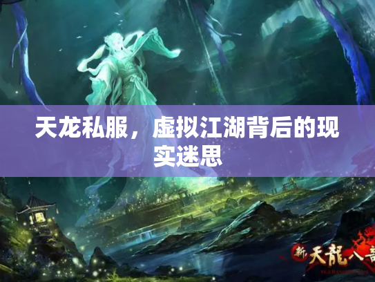 天龙私服，虚拟江湖背后的现实迷思