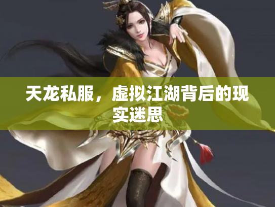 天龙私服，虚拟江湖背后的现实迷思