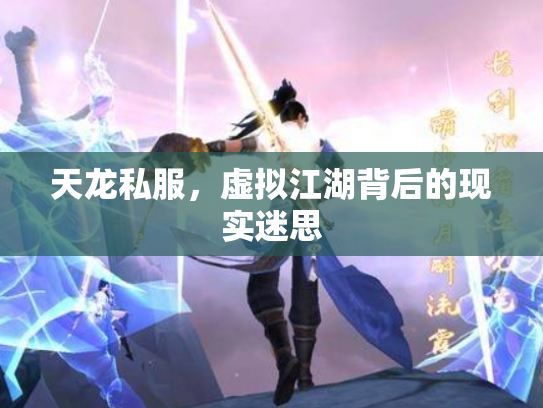 天龙私服，虚拟江湖背后的现实迷思