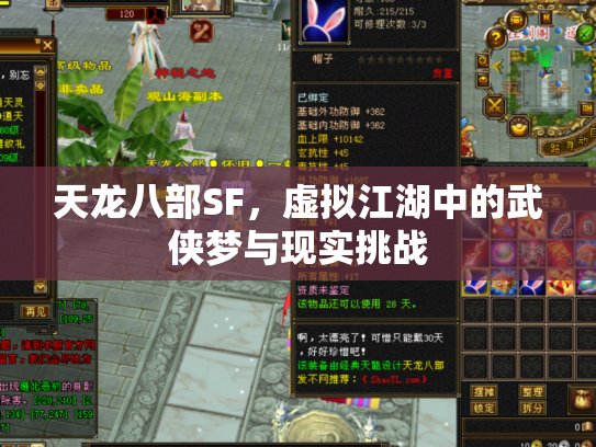 天龙八部SF，虚拟江湖中的武侠梦与现实挑战