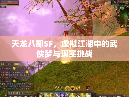天龙八部SF，虚拟江湖中的武侠梦与现实挑战