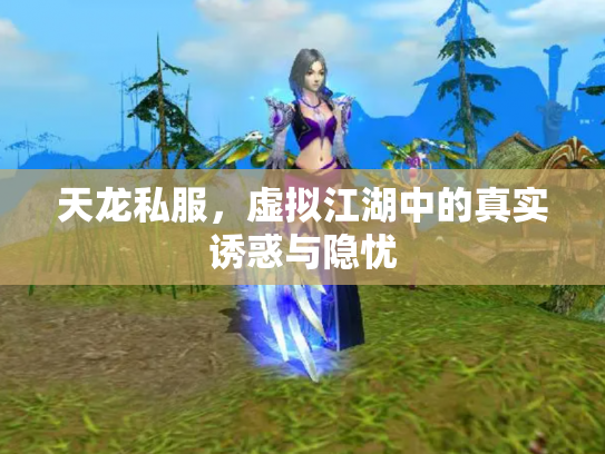 天龙私服，虚拟江湖中的真实诱惑与隐忧