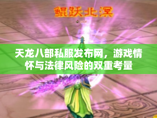 天龙八部私服发布网，游戏情怀与法律风险的双重考量