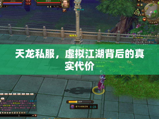 天龙私服，虚拟江湖背后的真实代价