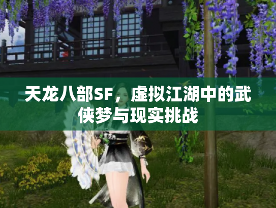 天龙八部SF，虚拟江湖中的武侠梦与现实挑战