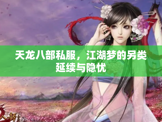 天龙八部私服，江湖梦的另类延续与隐忧