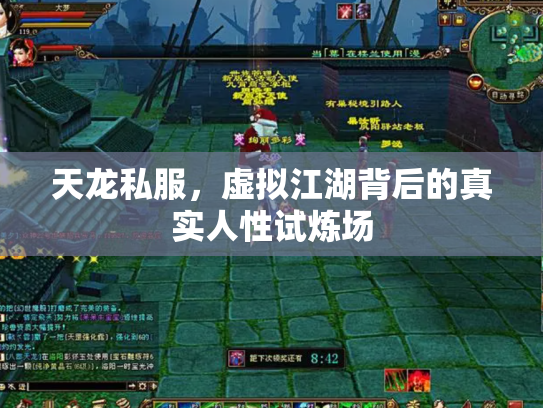 天龙私服，虚拟江湖背后的真实人性试炼场