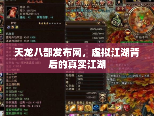 天龙八部发布网，虚拟江湖背后的真实江湖