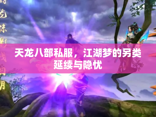 天龙八部私服，江湖梦的另类延续与隐忧