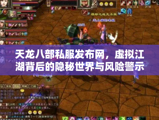 天龙八部私服发布网，虚拟江湖背后的隐秘世界与风险警示