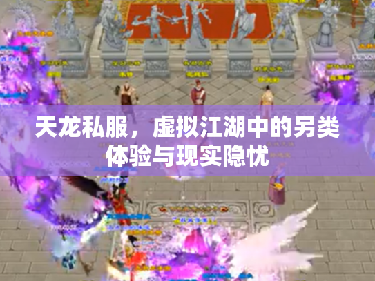 天龙私服，虚拟江湖中的另类体验与现实隐忧