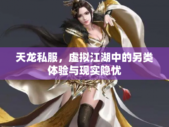 天龙私服，虚拟江湖中的另类体验与现实隐忧