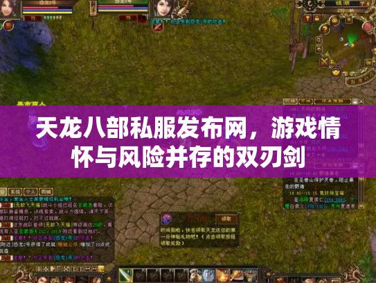 天龙八部私服发布网，游戏情怀与风险并存的双刃剑