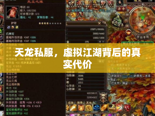 天龙私服，虚拟江湖背后的真实代价