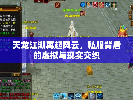 天龙江湖再起风云，私服背后的虚拟与现实交织