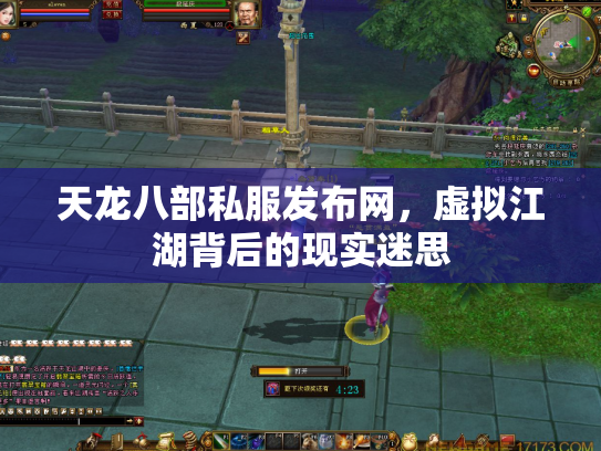 天龙八部私服发布网，虚拟江湖背后的现实迷思