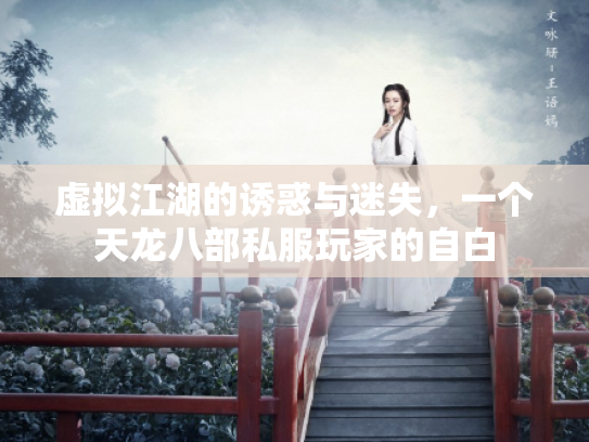 虚拟江湖的诱惑与迷失，一个天龙八部私服玩家的自白