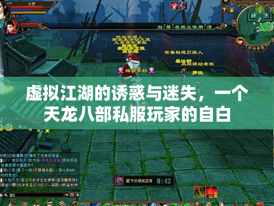 虚拟江湖的诱惑与迷失，一个天龙八部私服玩家的自白