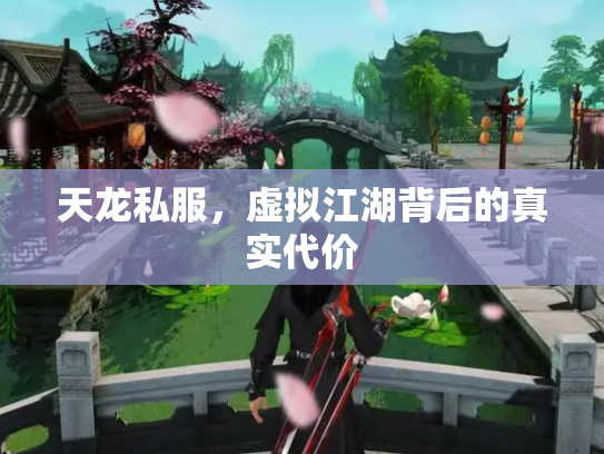 天龙私服，虚拟江湖背后的真实代价