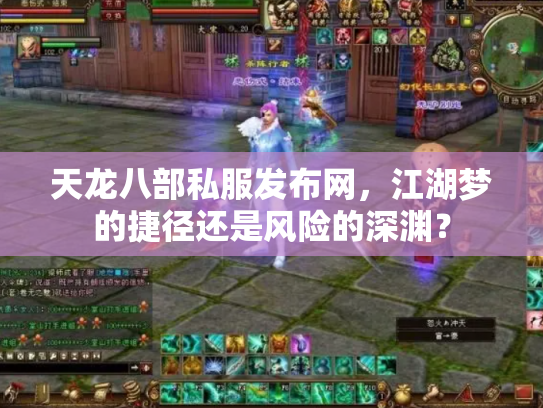 天龙八部私服发布网，江湖梦的捷径还是风险的深渊？