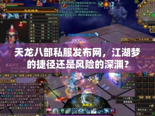 天龙八部私服发布网，江湖梦的捷径还是风险的深渊？