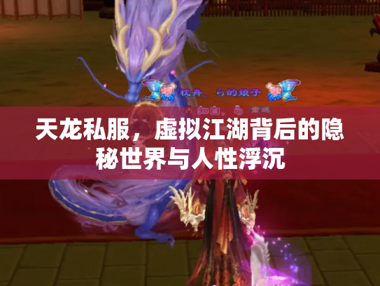 天龙私服，虚拟江湖背后的隐秘世界与人性浮沉