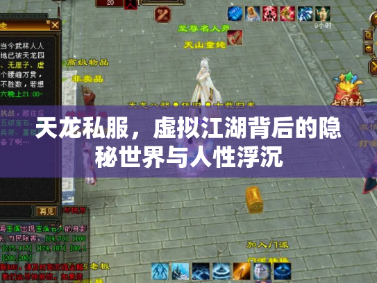 天龙私服，虚拟江湖背后的隐秘世界与人性浮沉