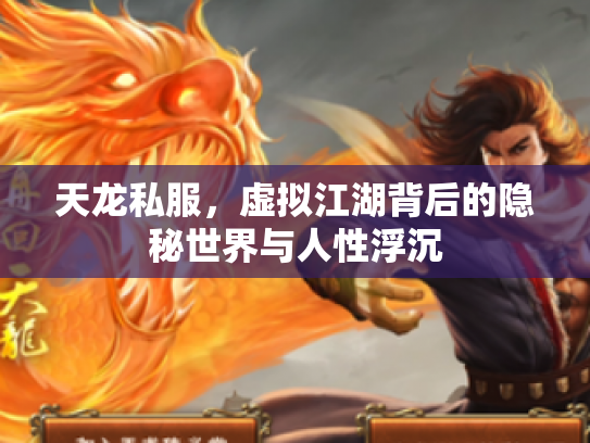 天龙私服，虚拟江湖背后的隐秘世界与人性浮沉