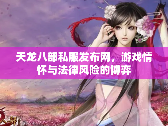 天龙八部私服发布网，游戏情怀与法律风险的博弈