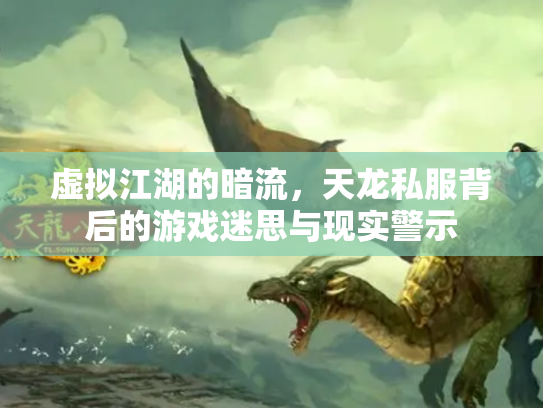 虚拟江湖的暗流，天龙私服背后的游戏迷思与现实警示