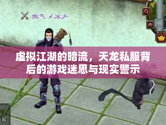 虚拟江湖的暗流，天龙私服背后的游戏迷思与现实警示