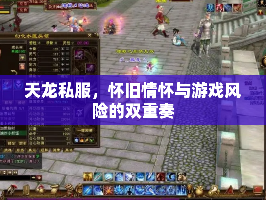 天龙私服，怀旧情怀与游戏风险的双重奏