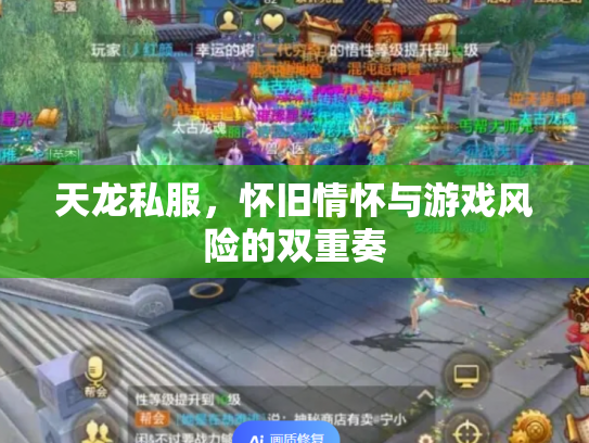 天龙私服，怀旧情怀与游戏风险的双重奏