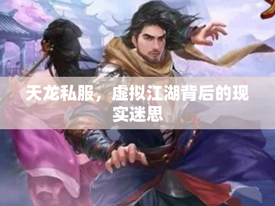 天龙私服，虚拟江湖背后的现实迷思