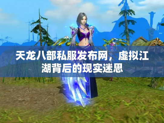 天龙八部私服发布网，虚拟江湖背后的现实迷思