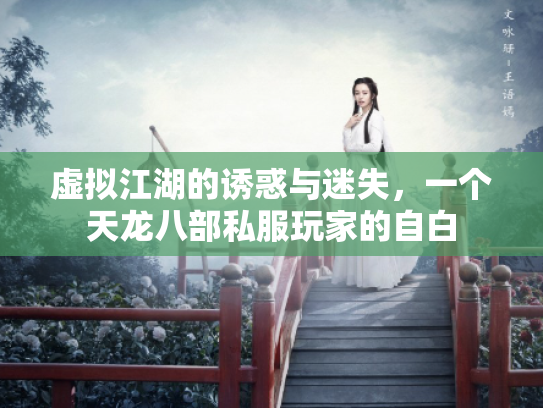 虚拟江湖的诱惑与迷失，一个天龙八部私服玩家的自白
