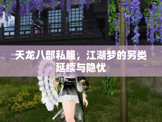 天龙八部私服，江湖梦的另类延续与隐忧