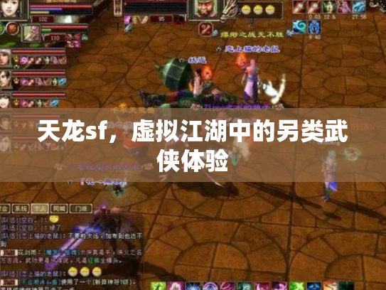 天龙sf，虚拟江湖中的另类武侠体验