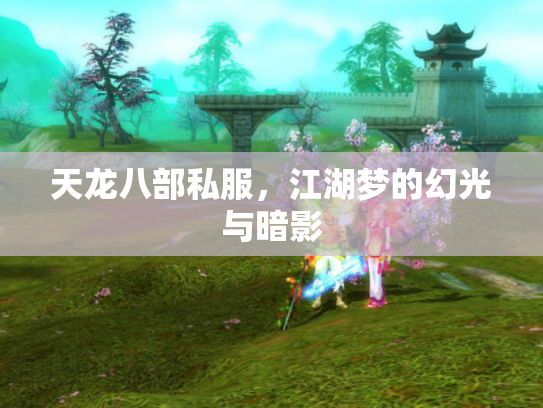 天龙八部私服，江湖梦的幻光与暗影