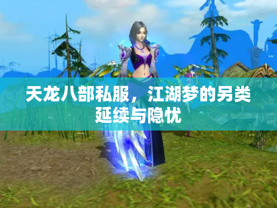 天龙八部私服，江湖梦的另类延续与隐忧