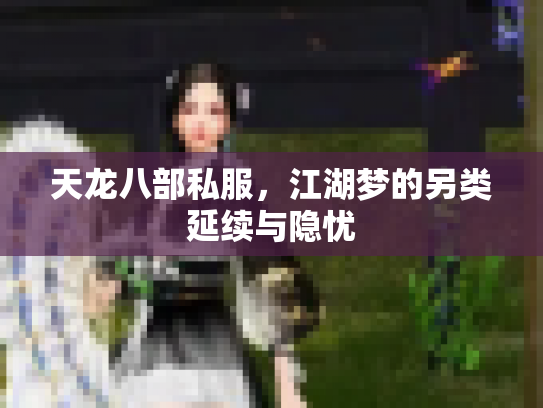 天龙八部私服，江湖梦的另类延续与隐忧