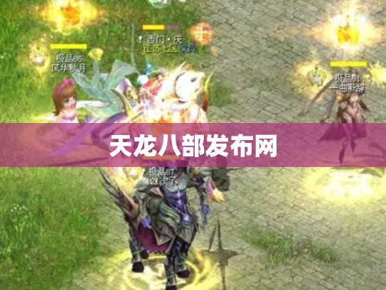 天龙八部发布网