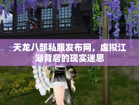 天龙八部私服发布网，虚拟江湖背后的现实迷思