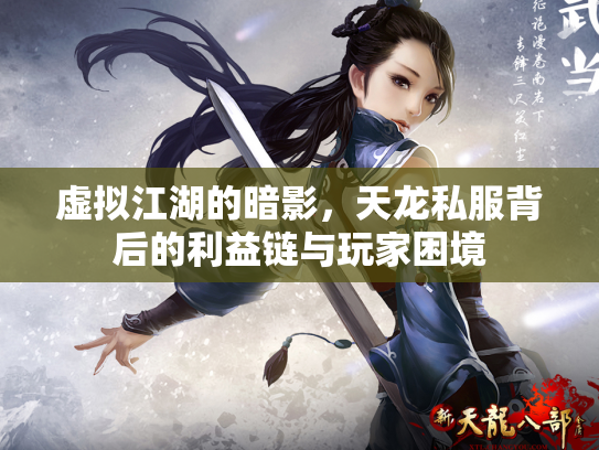 虚拟江湖的暗影，天龙私服背后的利益链与玩家困境